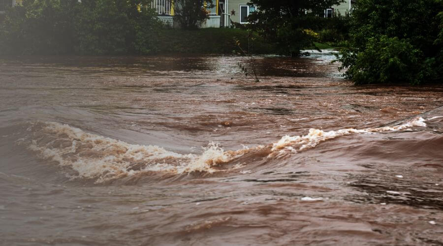 Why choose AquaTide Pros for water damage restoration in Federal Way